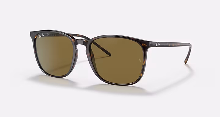 Ray-Ban RB4387