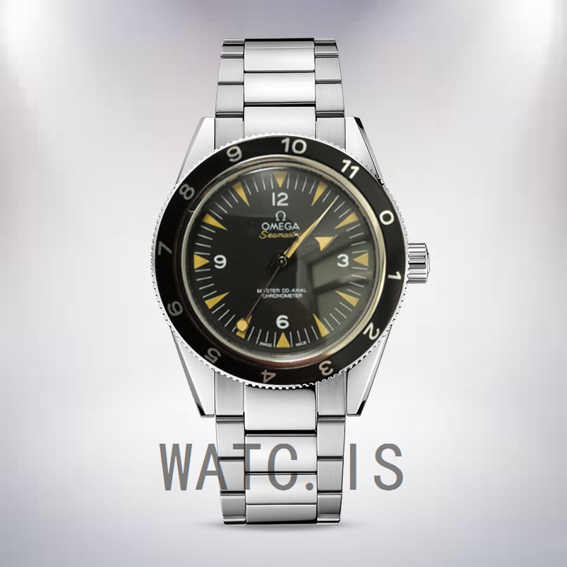 Omega Seamaster Men 41mm 233.30.41.21.01.001 Silver-tone