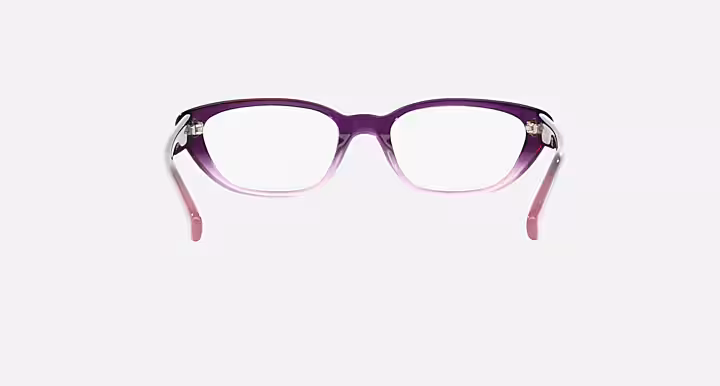 Ray-Ban RB5242