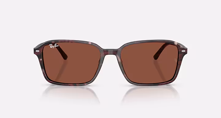 Ray-Ban RAIMOND