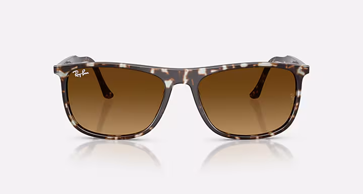 Ray-Ban RB2216