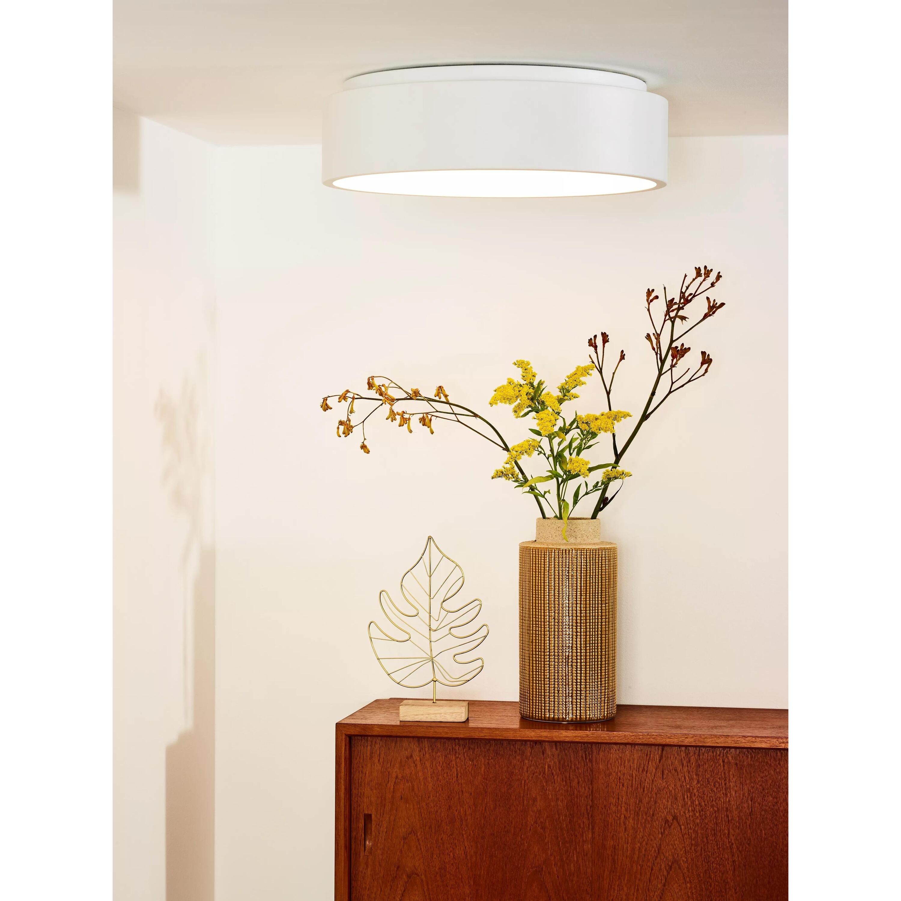 Talowe 45 plafondlamp Ø45 LED wit