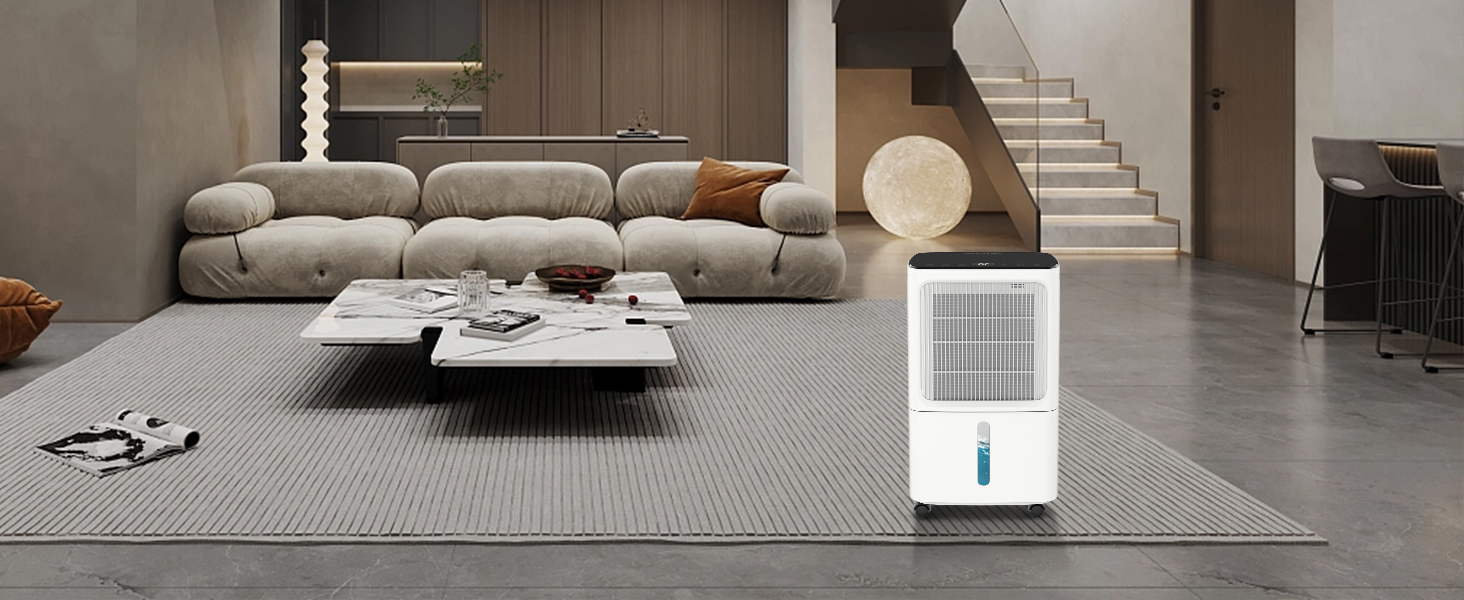 dehumidifiers for basement