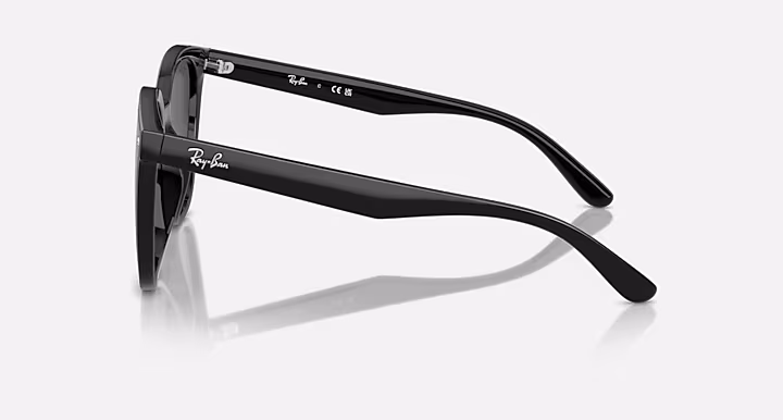 Ray-Ban RB4423D
