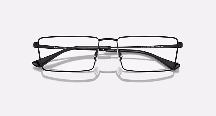Ray-Ban EMY OPTICS
