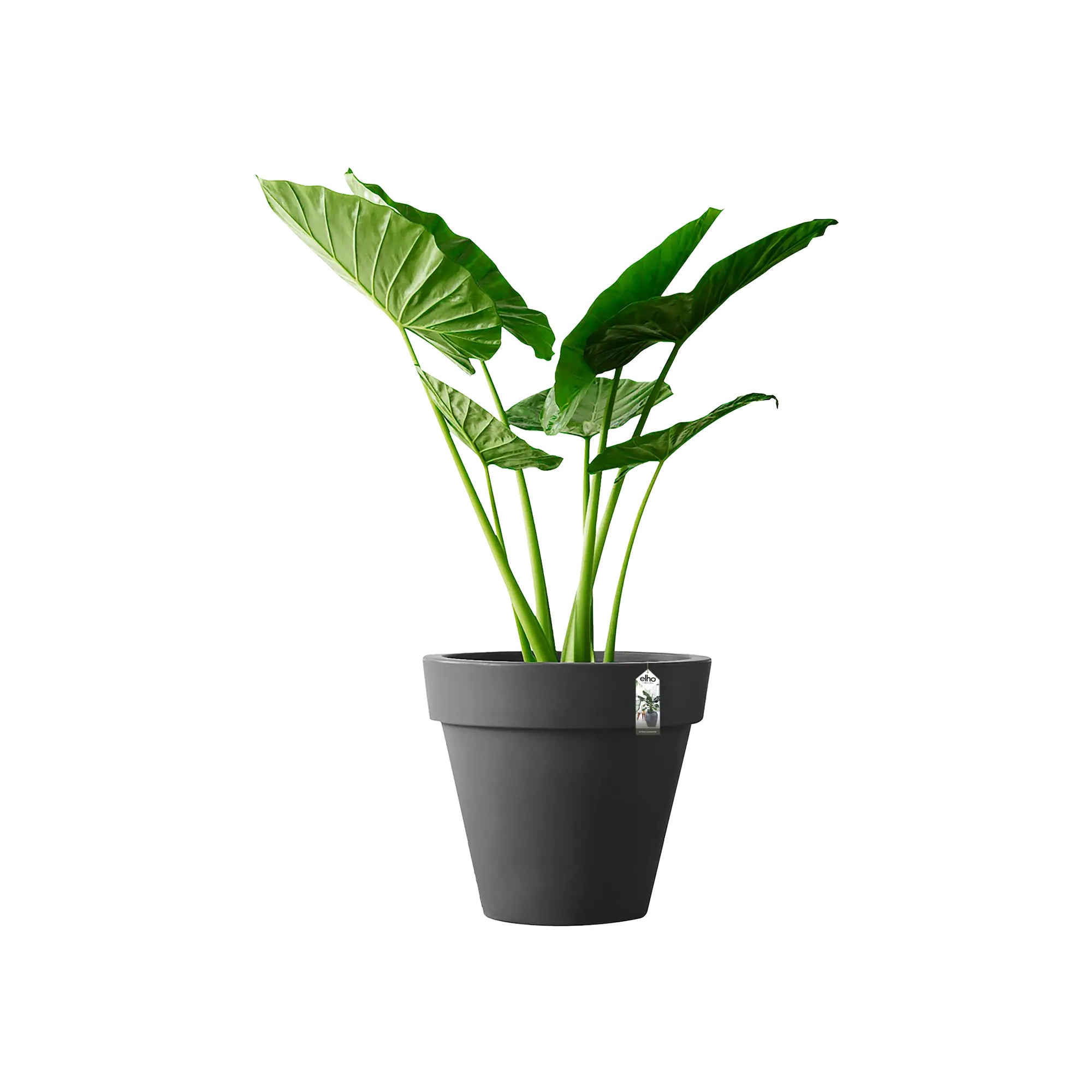 elho Pure Round Bloempot Ø 80 cm - Antraciet - 100% gerecycled kunstst