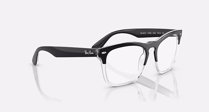 Ray-Ban STEVE OPTICS
