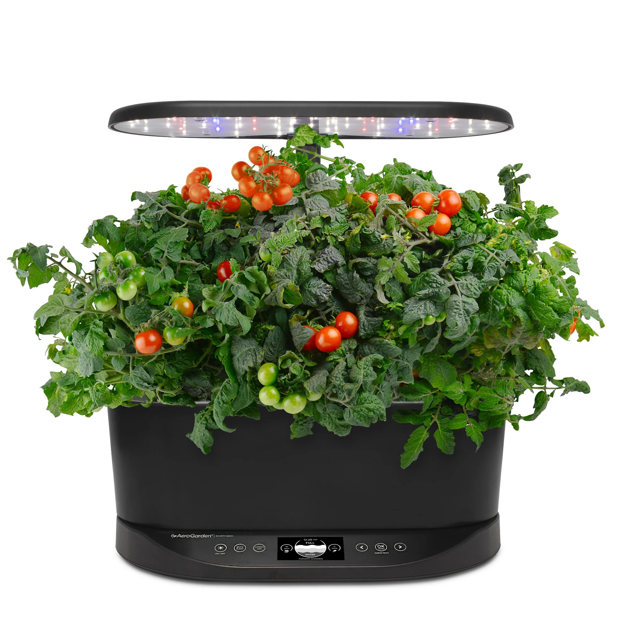 AeroGarden Bounty Basic - Indoor Garden with LED Grow Light, Black - Image 4