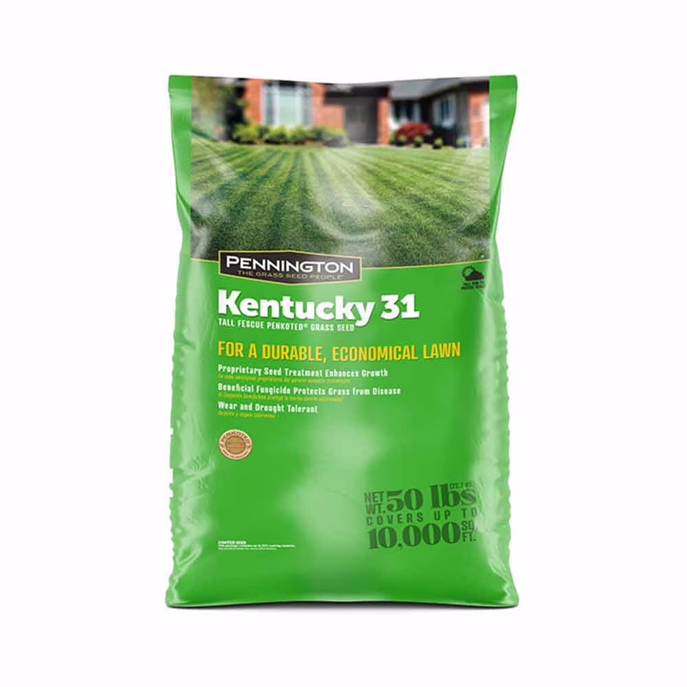 Pennington Kentucky 31 Tall Fescue Penkoted Grass Seed 50 lb