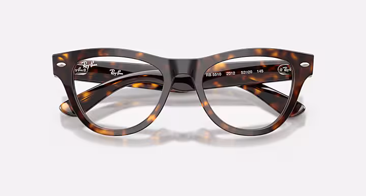 Ray-Ban SKYLER OPTICS