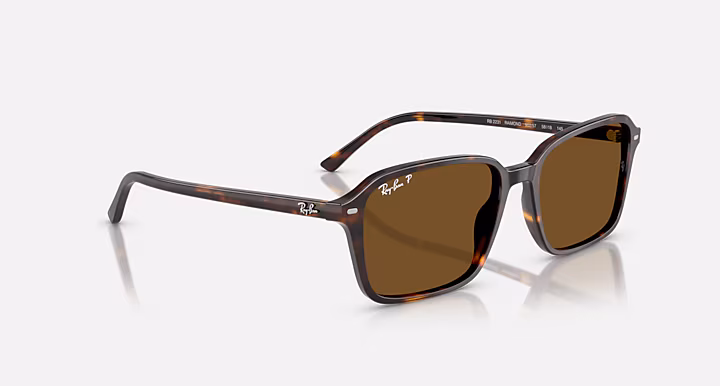 Ray-Ban RAIMOND