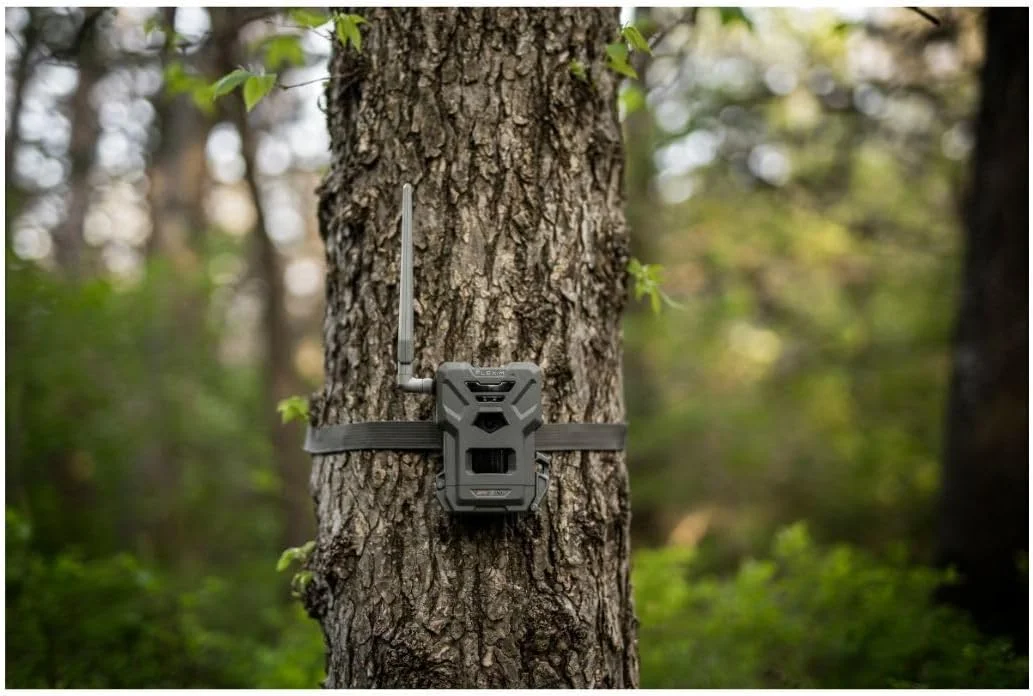 SPYPOINT Flex-m Twin Pack Cellular Trail Camera -C Hunting Trail Monitor with GPS, Night Vision, Dual-Sim LTE, IP65 Water-Resistant - Image 9