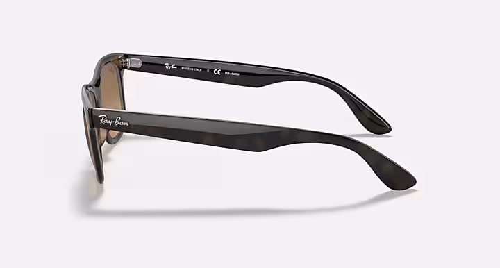 Ray-Ban RB4640