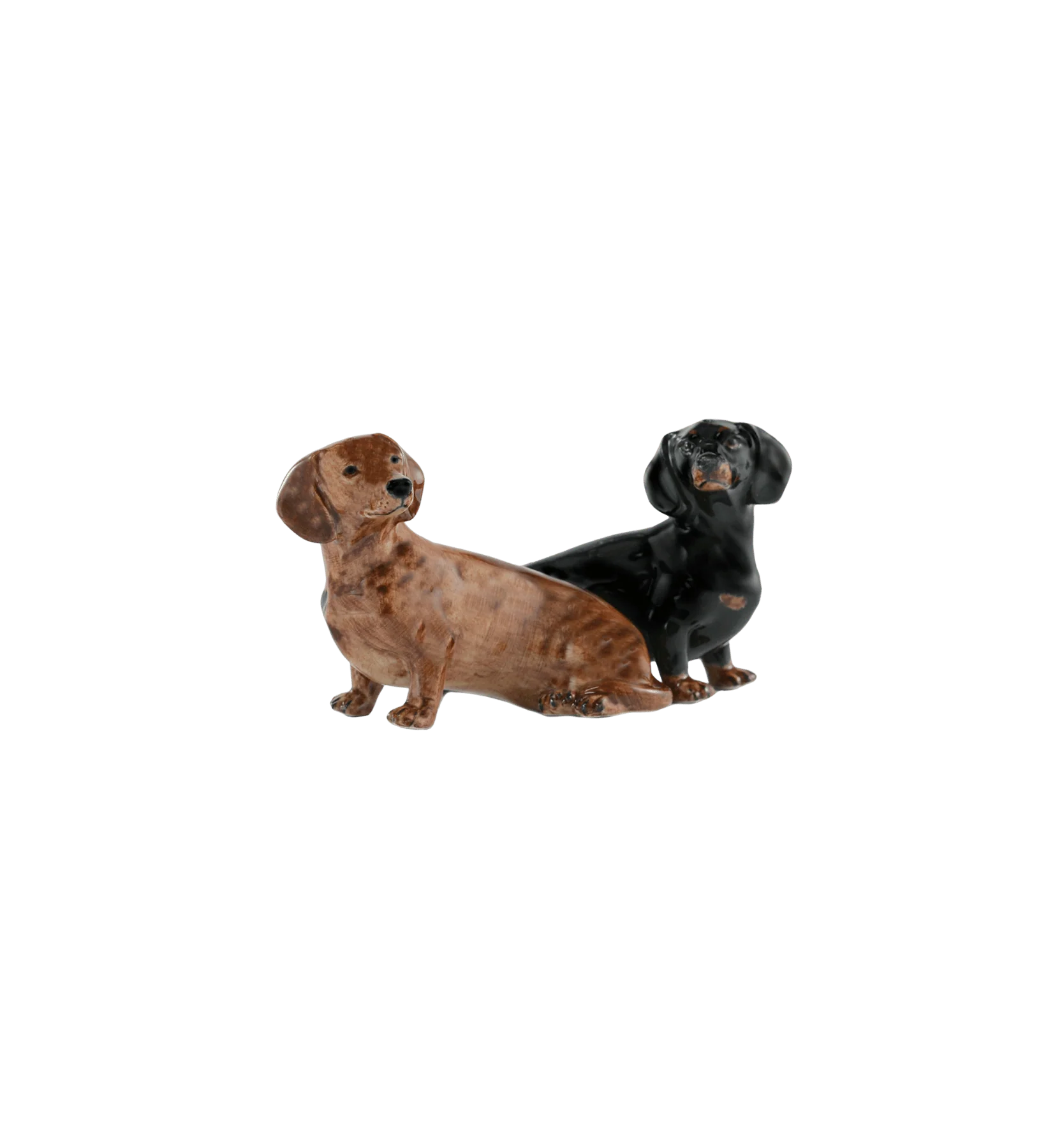 Quail Dachshund Salt And Pepper