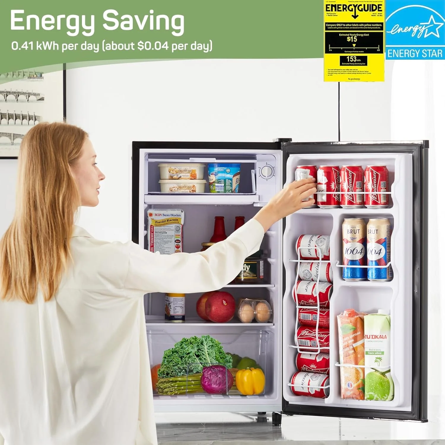 Simenmax 3.2 Cu.ft Single Door Mini Fridge,Silver - Image 15