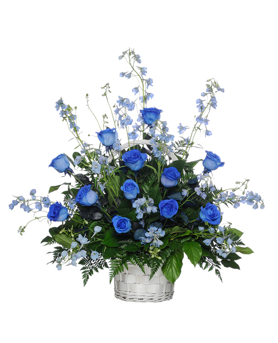 Beautiful Blue Rose