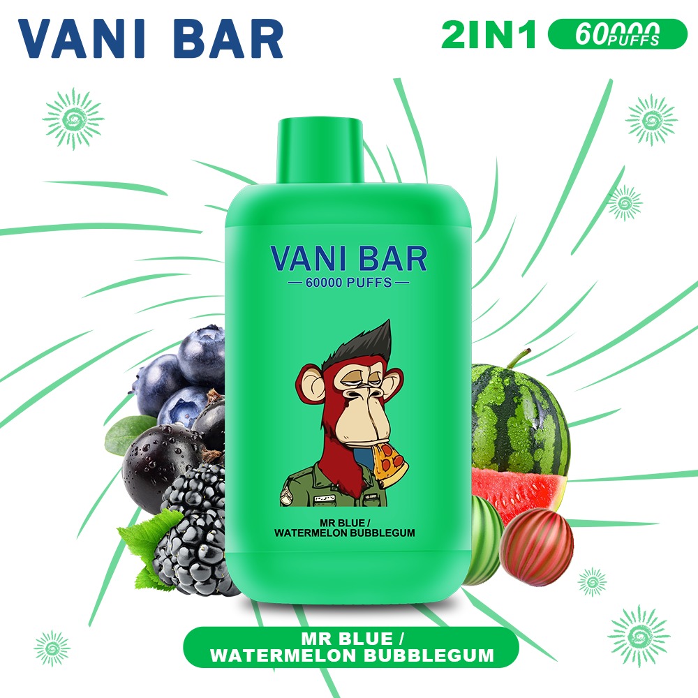 【VANI BAR】60000 PUFFS 2-in-1 Mr. Blue/Guave-Kaugummi