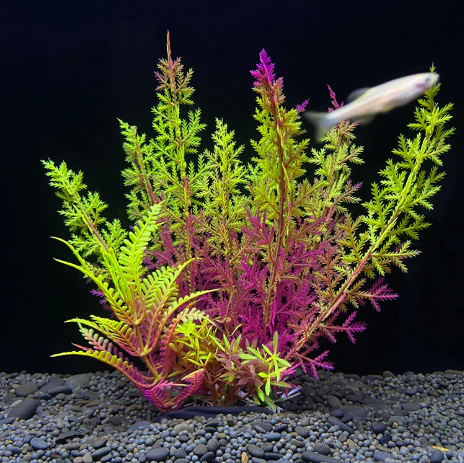 Fish Tank Decoration Artificial Aquarium Plant Plastic Water Plant