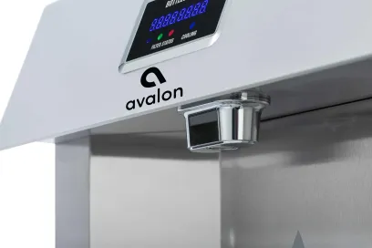 Avalon Wall Mounted Water Fountain with Bottle Filling Station, High Capacity Cooling, Sensor Dispensing, Self Cleaning