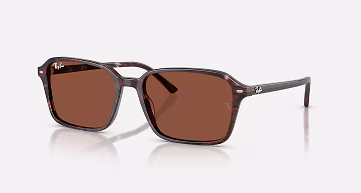 Ray-Ban RAIMOND