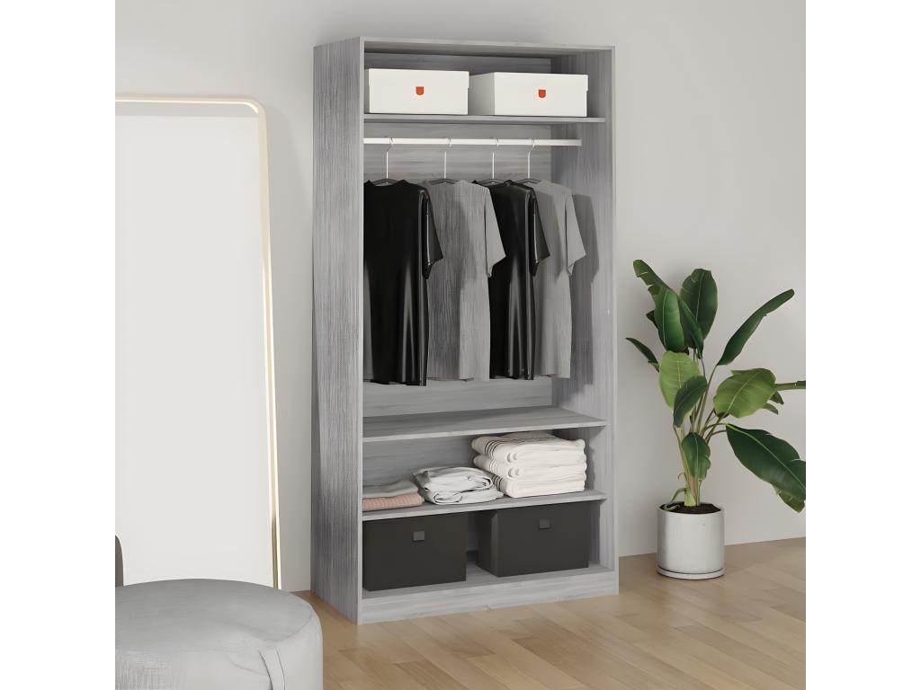 Armario de madera contrachapada gris Sonoma 100x50x200 cm