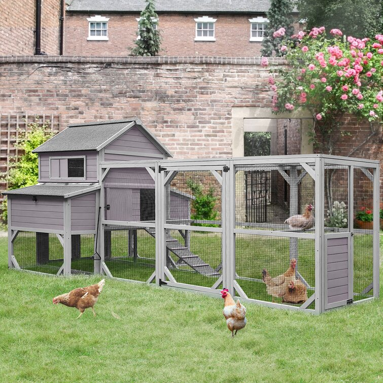 WAYFAIR Anyi 59 Square Feet Chicken Coop With Chicken Run
