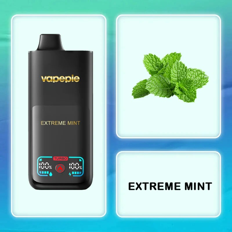 EXTREME MINT-VAPEPIE Mega 70.000 Züge