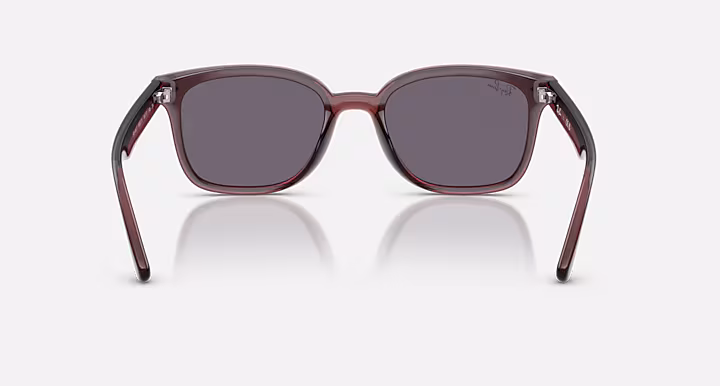 Ray-Ban RB4461D