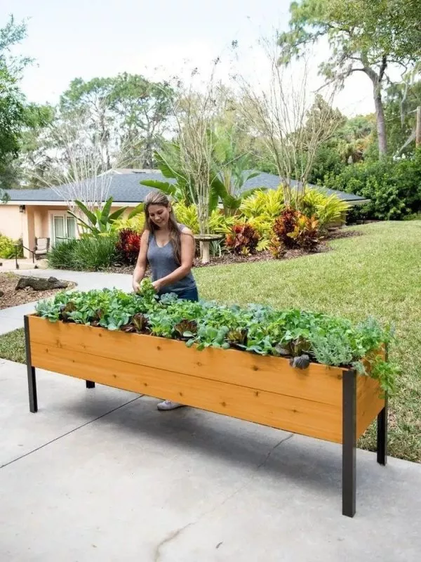 AnkerfieldSelf-Watering Eco-Stained Elevated Planter Box