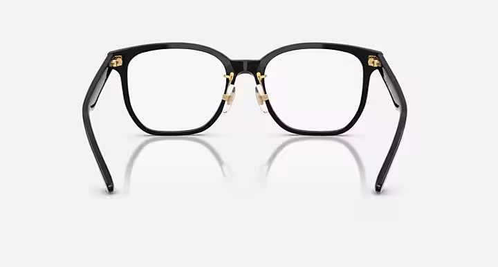 Ray-Ban RB5425D OPTICS YEAR OF THE SNAKE EDITION