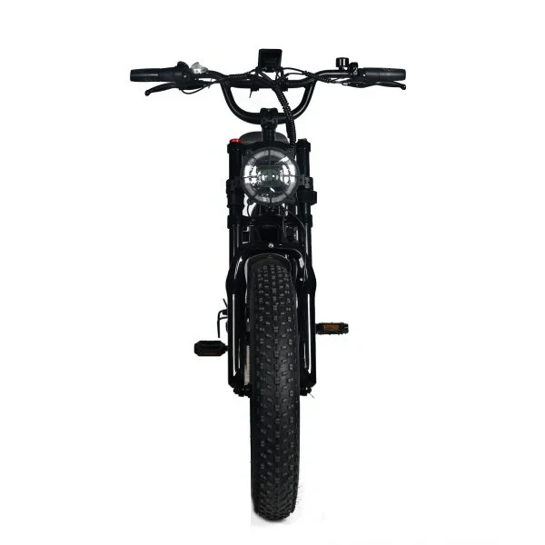 Electric Mountain Bike For Adults With 20 x 4.0 Fat Tires, 1000W Motor, 48V 20Ah Removable Battery, 45MPH Speed, 7-Speed - Image 2 Electric Mountain Bike For Adults With 20 x 4.0 Fat Tires, 1000W Motor, 48V 20Ah Removable Battery, 45MPH Speed, 7-Speed - Image 2