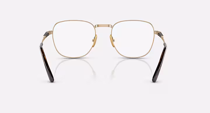 Ray-Ban FRANK II TITANIUM OPTICS