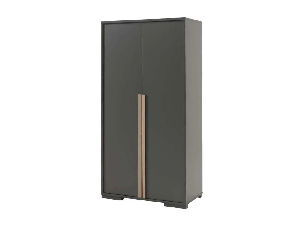 Armario 2 puertas Andreuworldcasa de haya gris antracita