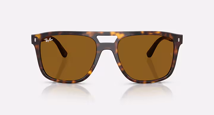 Ray-Ban RB2213