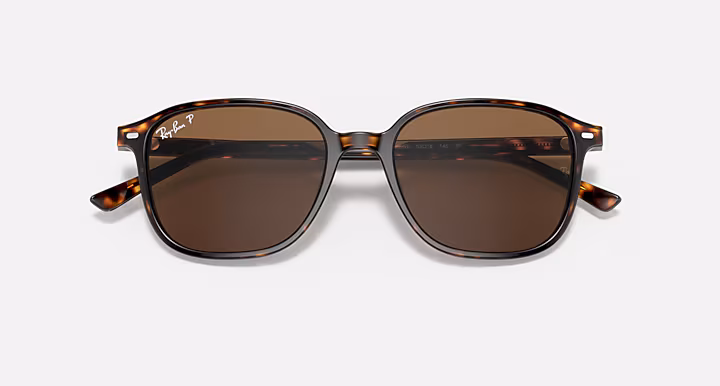 Ray-Ban LEONARD