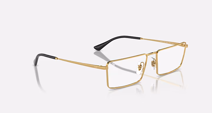Ray-Ban EMY OPTICS