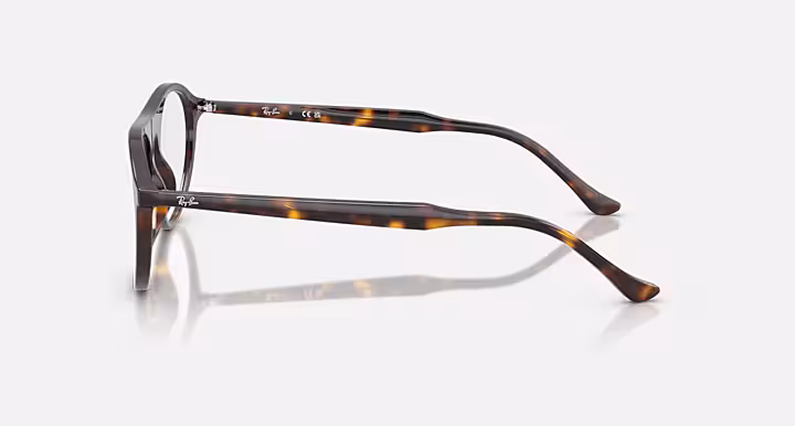 Ray-Ban RB5441 OPTICS