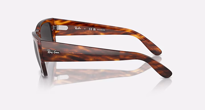 Ray-Ban CARLOS