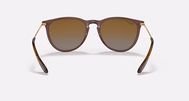 Ray-Ban ERIKA CLASSIC