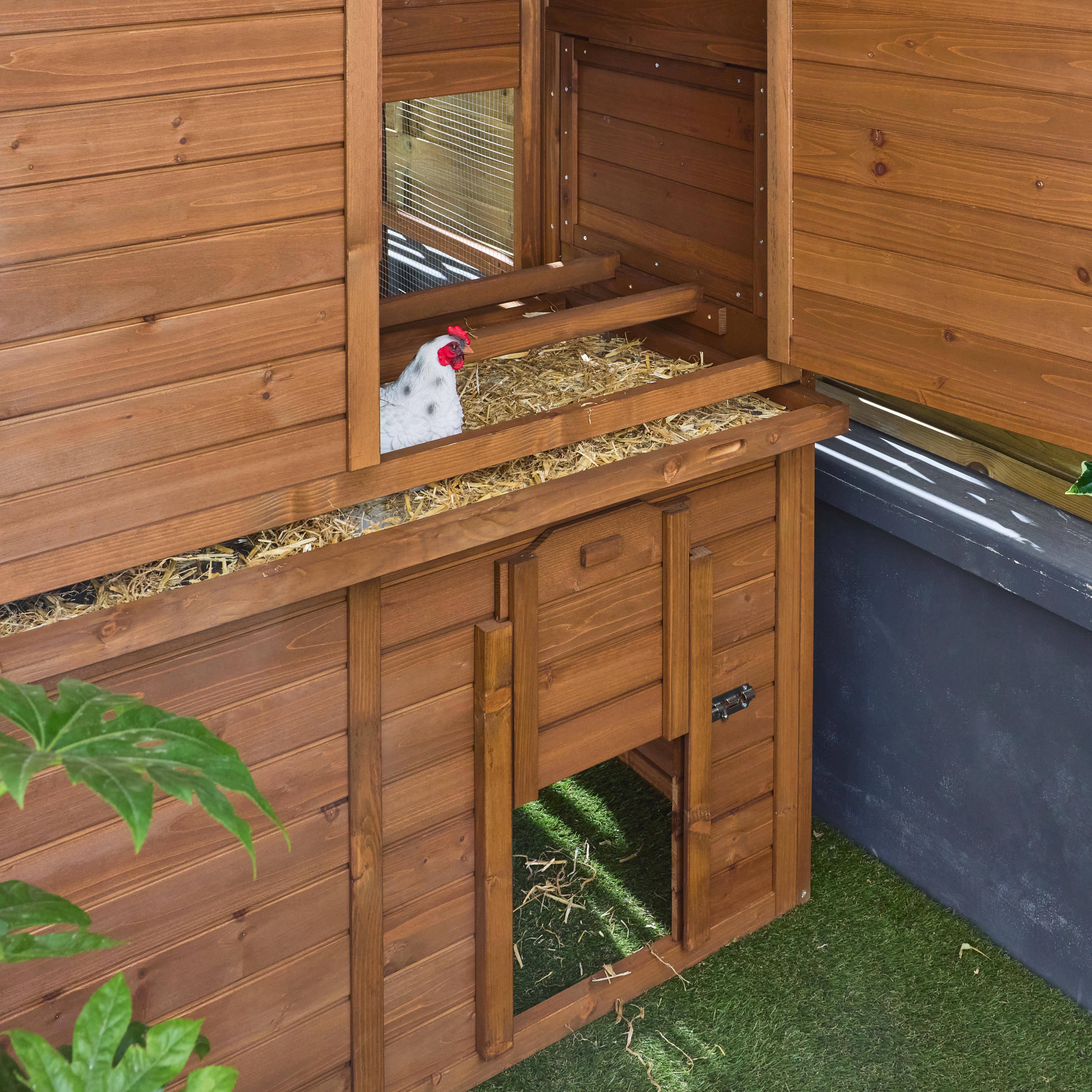 Contentine - Gallinero de madera con corral para 6 a 8 gallinas