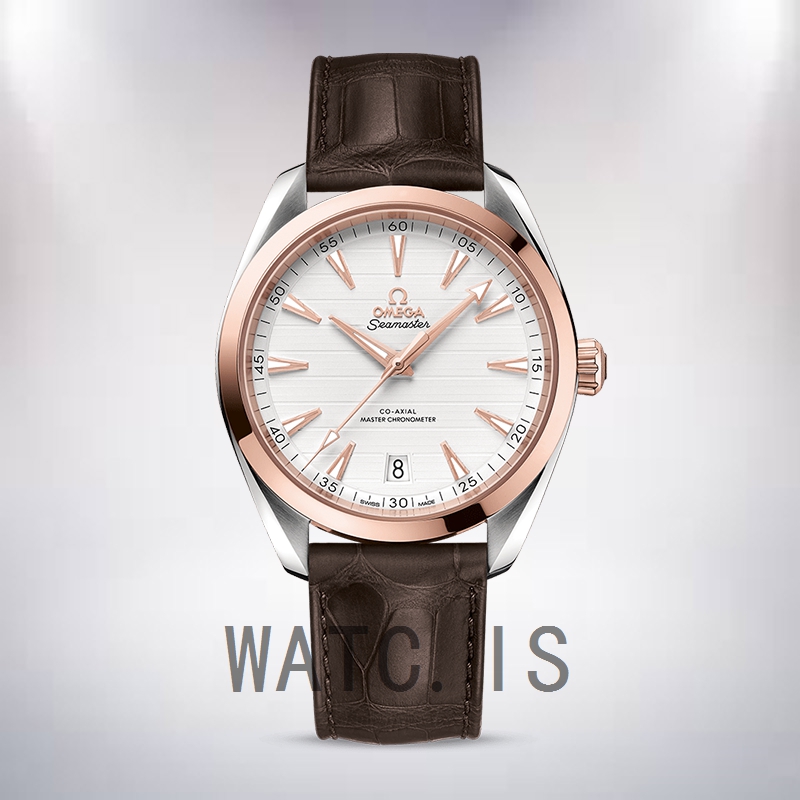 Omega Seamaster 42mm 220.23.41.21.02.001 Men Silver-tone