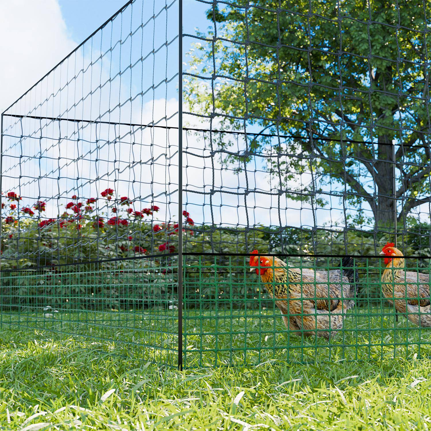 Kit de valla de red para pollos - Kit modular de cercado para gallinas
