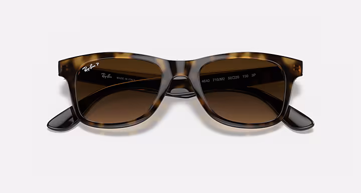 Ray-Ban RB4640