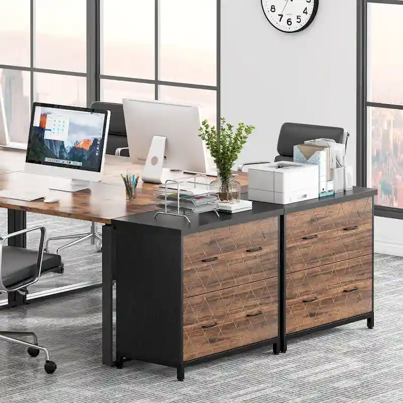 2-Drawer Lateral File Cabinet for Office Organization