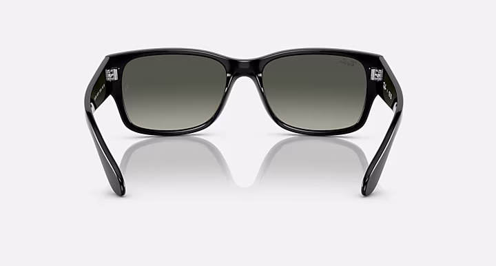 Ray-Ban RB4388