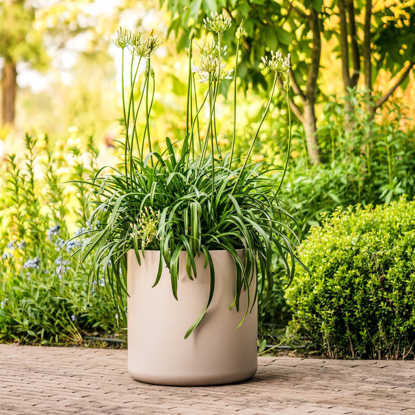 Elho Pure Cilinder Wheels 50 - Beige - L 50 x B x H 50 cm - Balkon, Bi