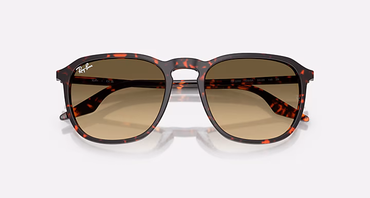 Ray-Ban RB2203