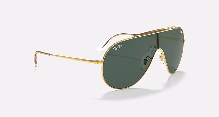 Ray-Ban WINGS