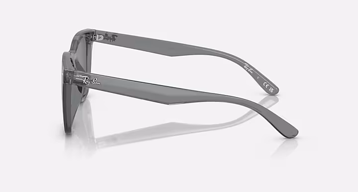 Ray-Ban RB4391D