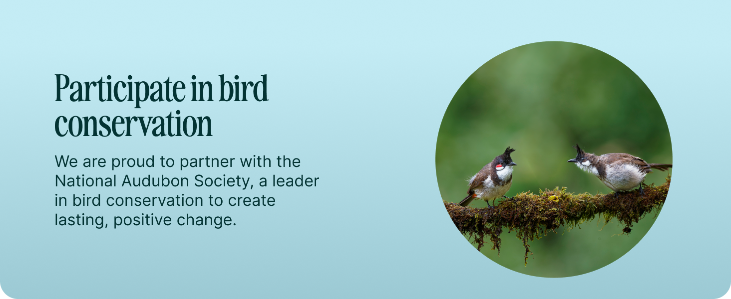 netvue bird feeder camera